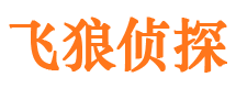 平度市婚外情调查